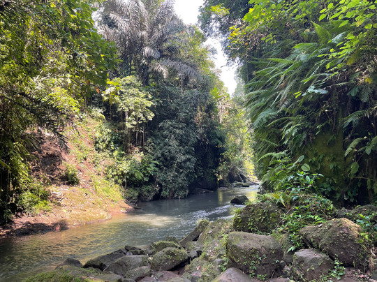 Organize Penida Tour-沙努尔必去景点