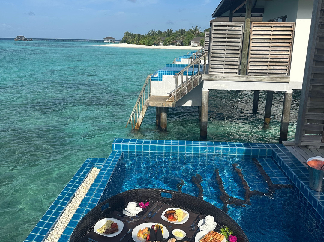 Robinson Noonu主图