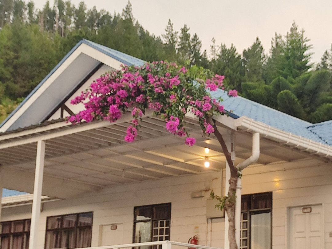 京那巴鲁松度假村主图