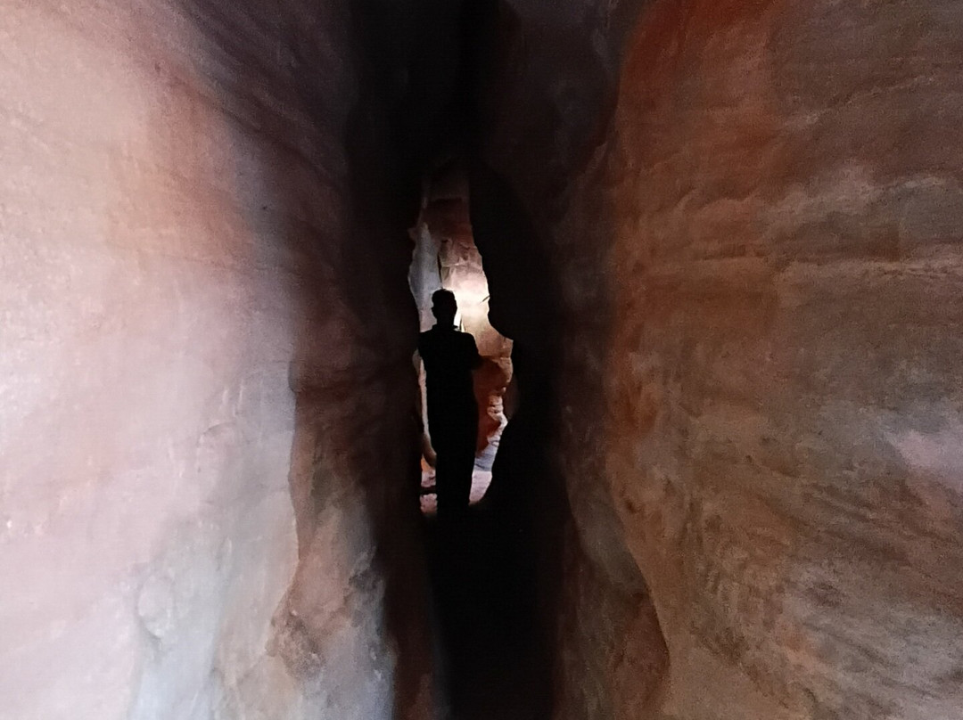 Coral Expeditions-凯恩斯必去景点