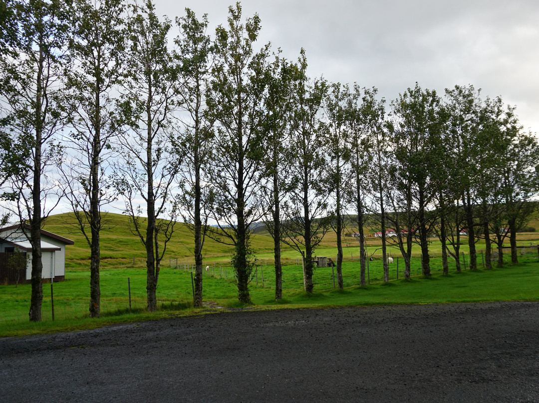 Solheimahjaleiga Guesthouse主图