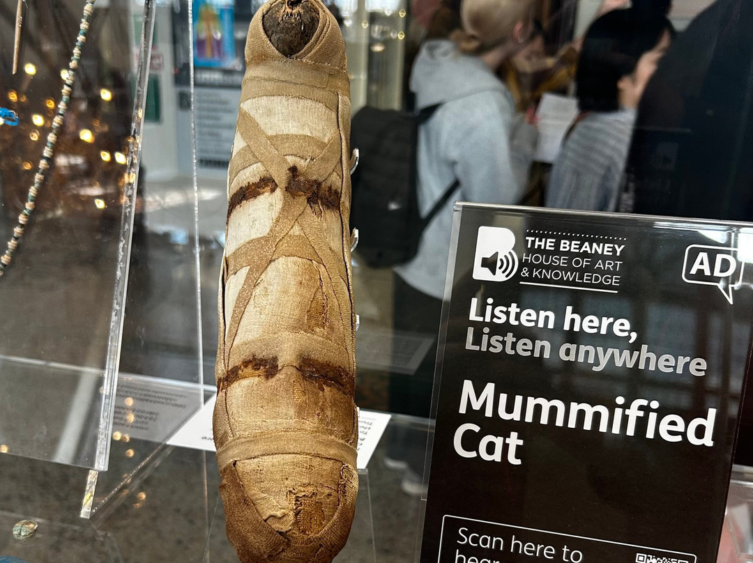 The Beaney House of Art & Knowledge-坎特伯雷必去景点