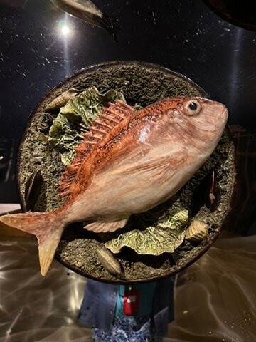 Aliança Underground Museum-桑戛荷斯必去景点