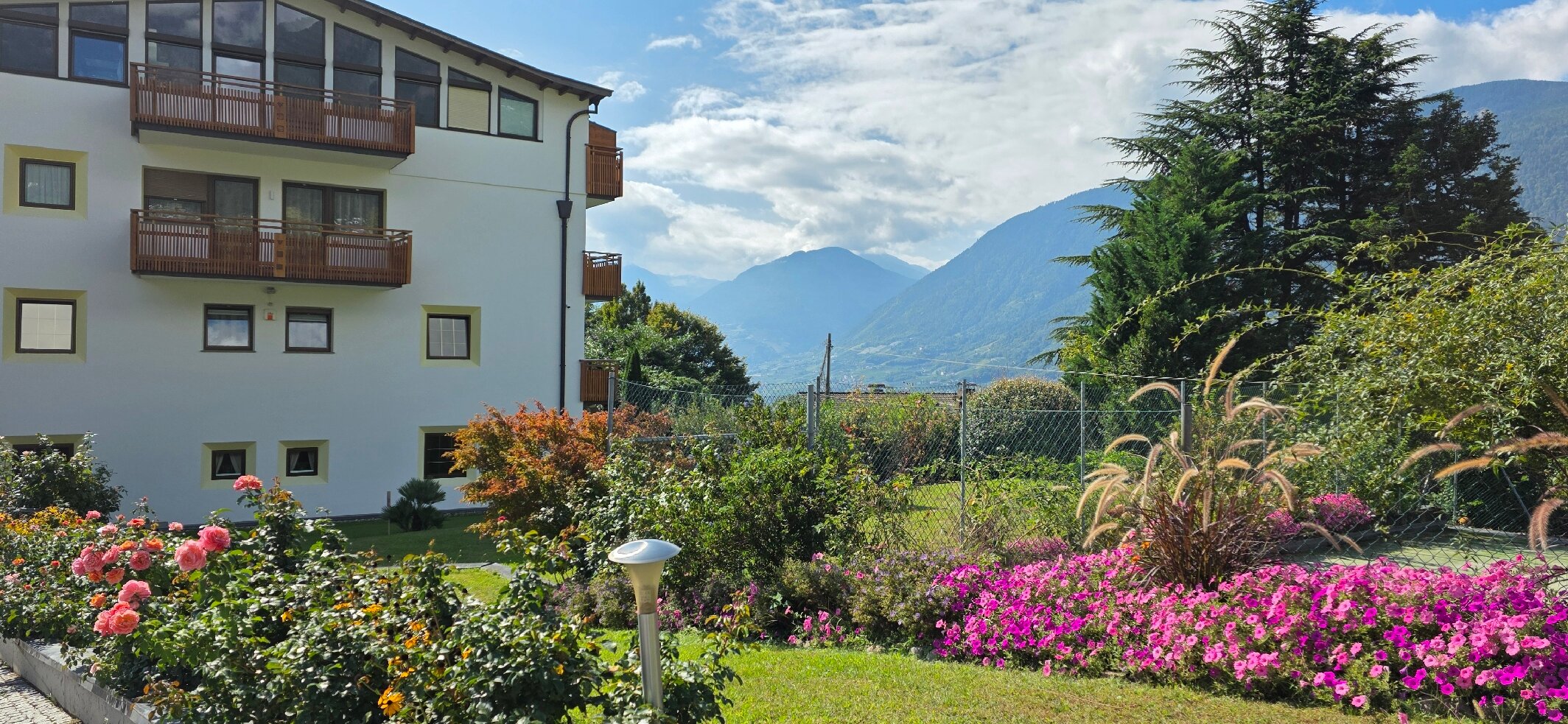 Hotel Traubenheim-官方