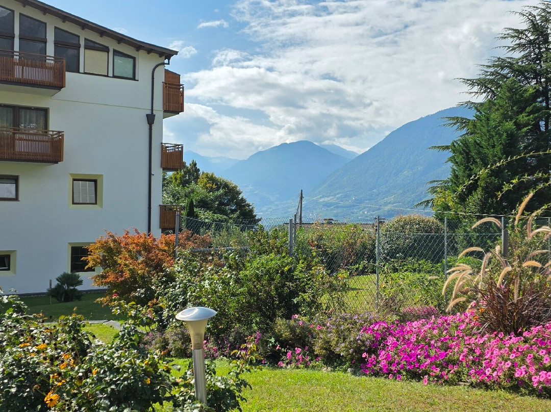 Hotel Traubenheim主图