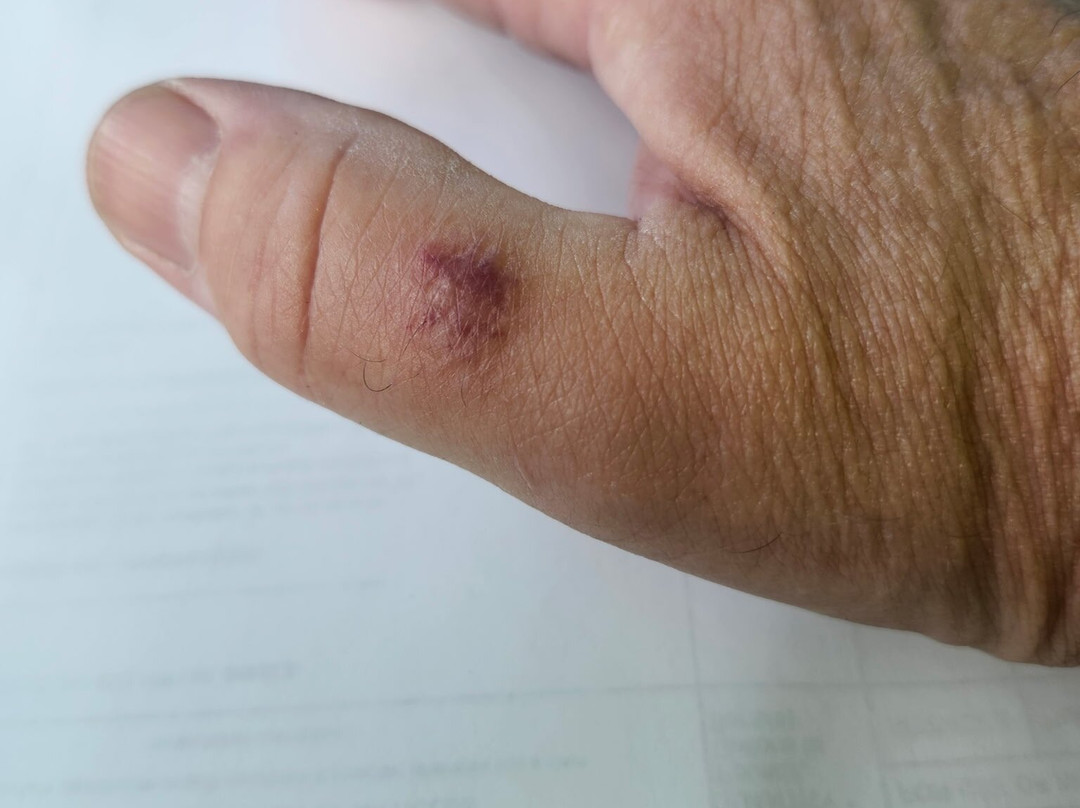 Microtel Inn & Suites by Wyndham Leesburg/Mt Dora主图