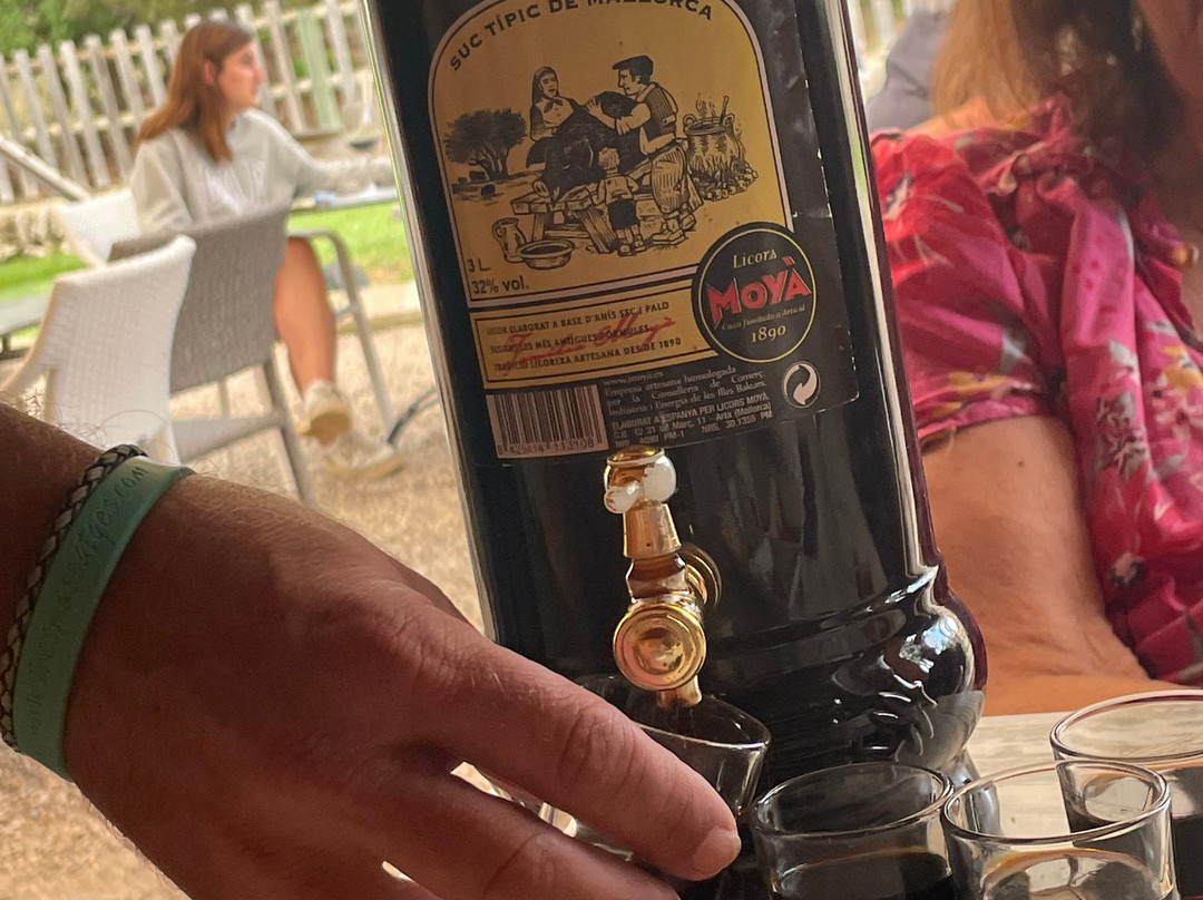 Ranxo Ses Roques-阿尔库迪亚港必去景点