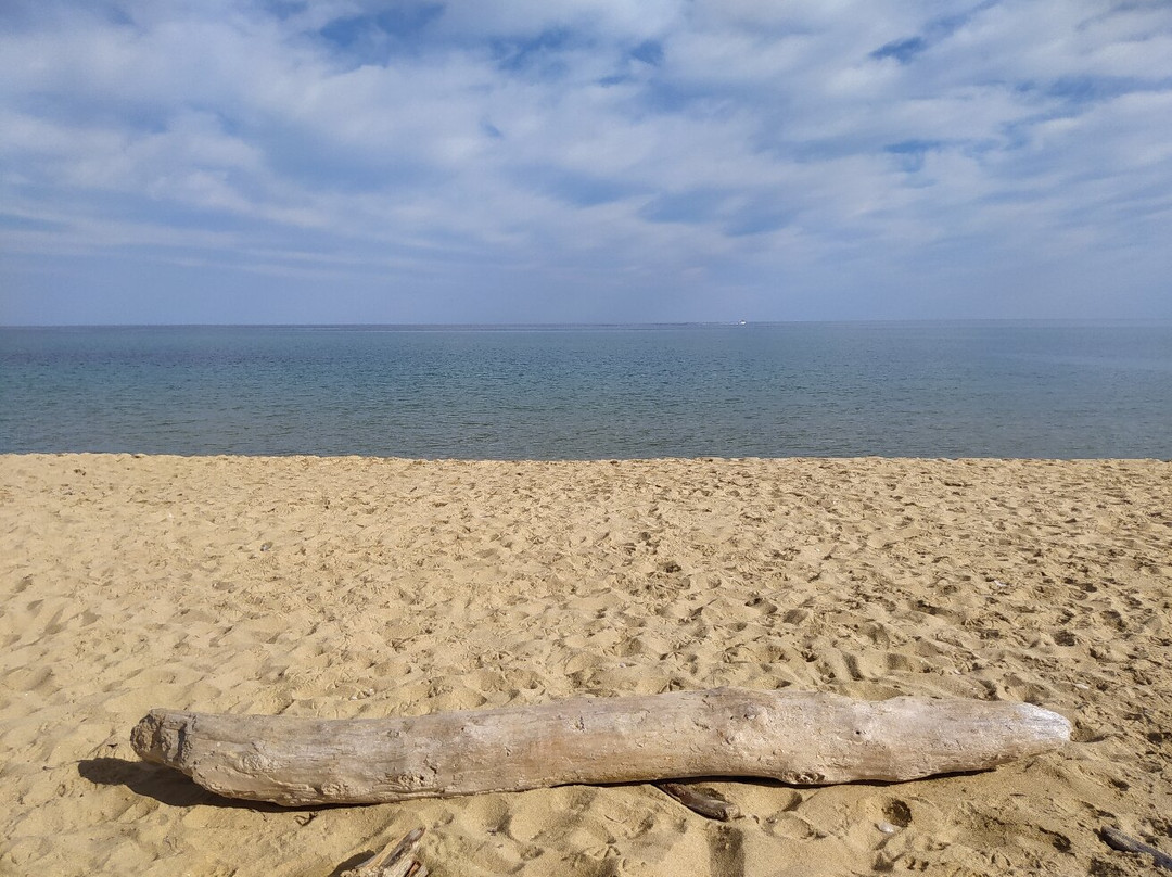 Elia Beach-斯亚索斯必去景点