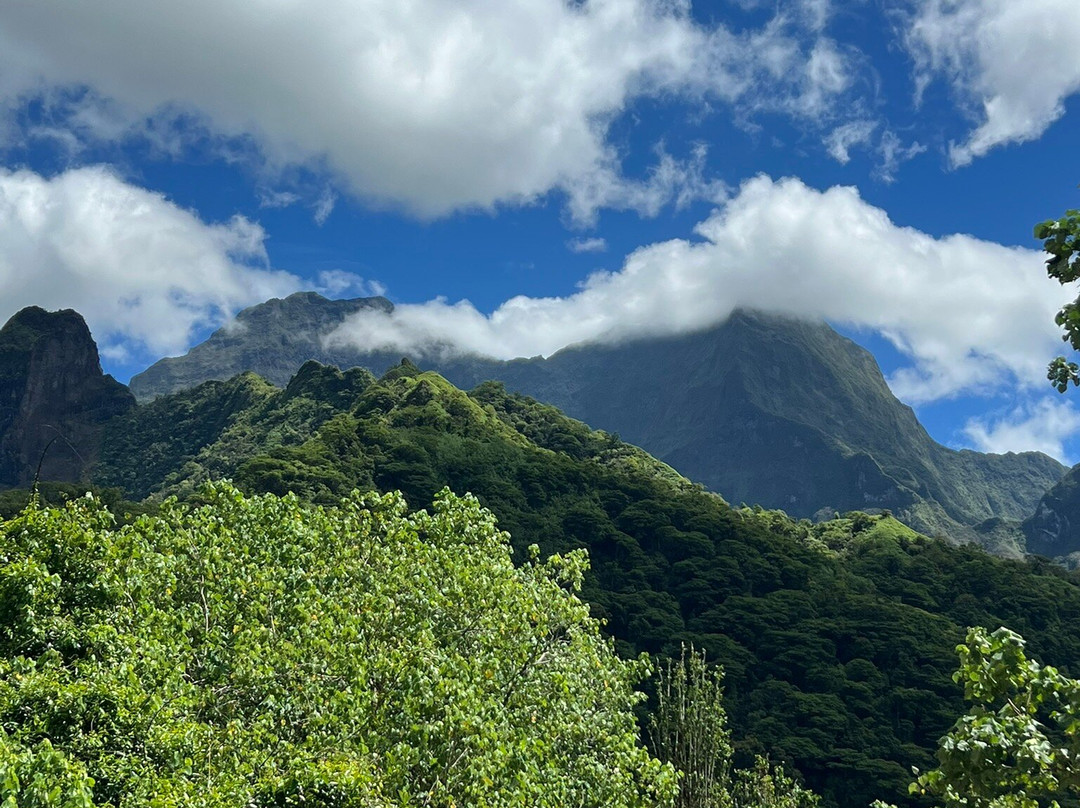 Tetapua Quad Tahiti ATV-帕皮提必去景点