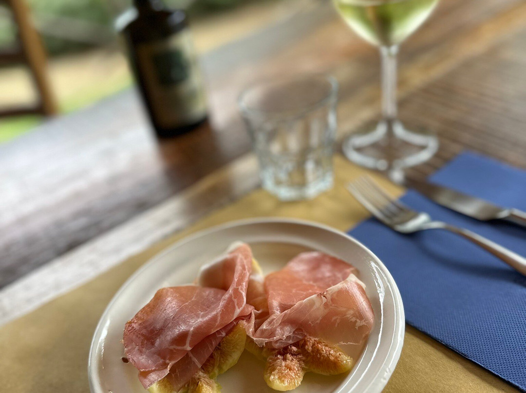 Truffles Hunting in Le Marche-Force必去景点