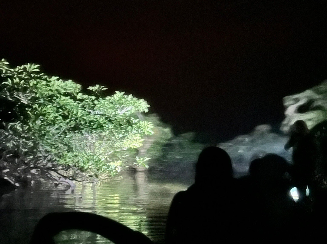 Cuyabeno Dolphin Lodge-Cuyabeno Wildlife Reserve必去景点