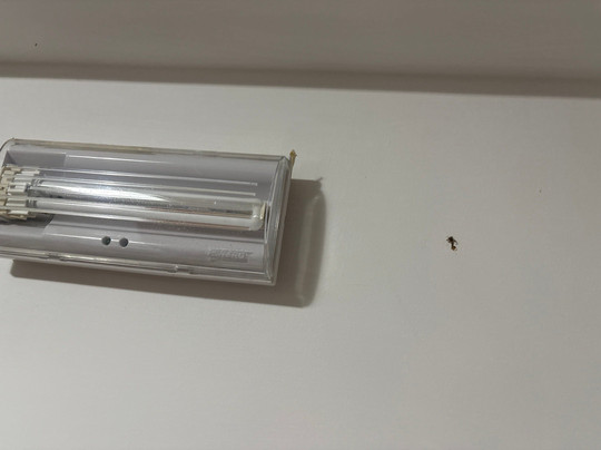 Vacation Home Bellavista主图