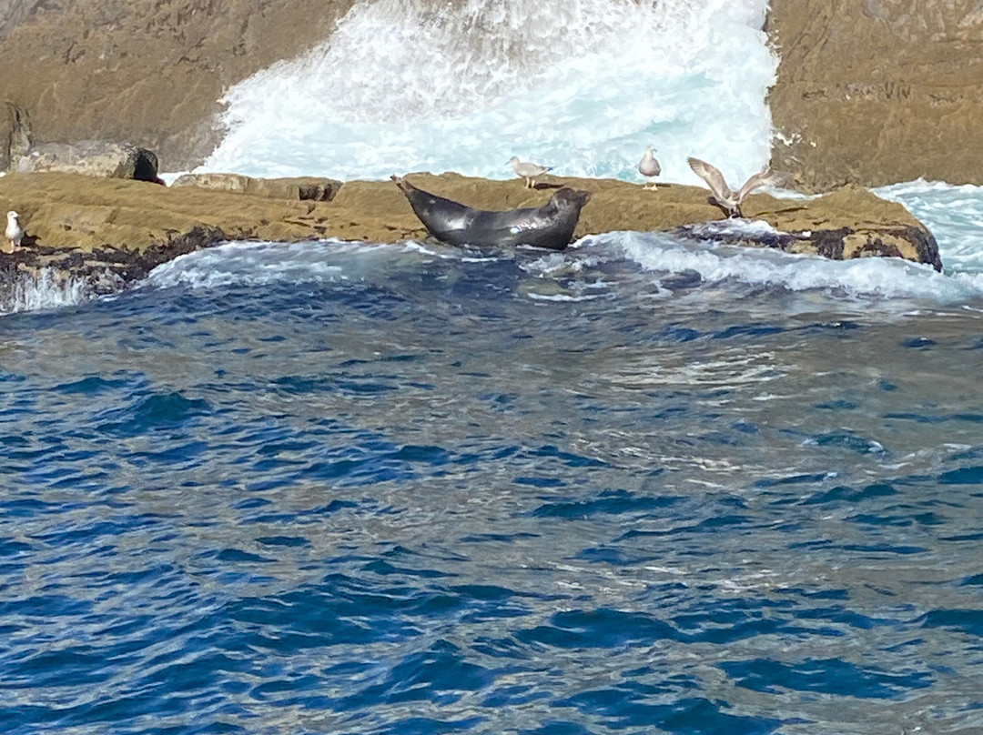 Skellig Coast Adventures-Portmagee必去景点