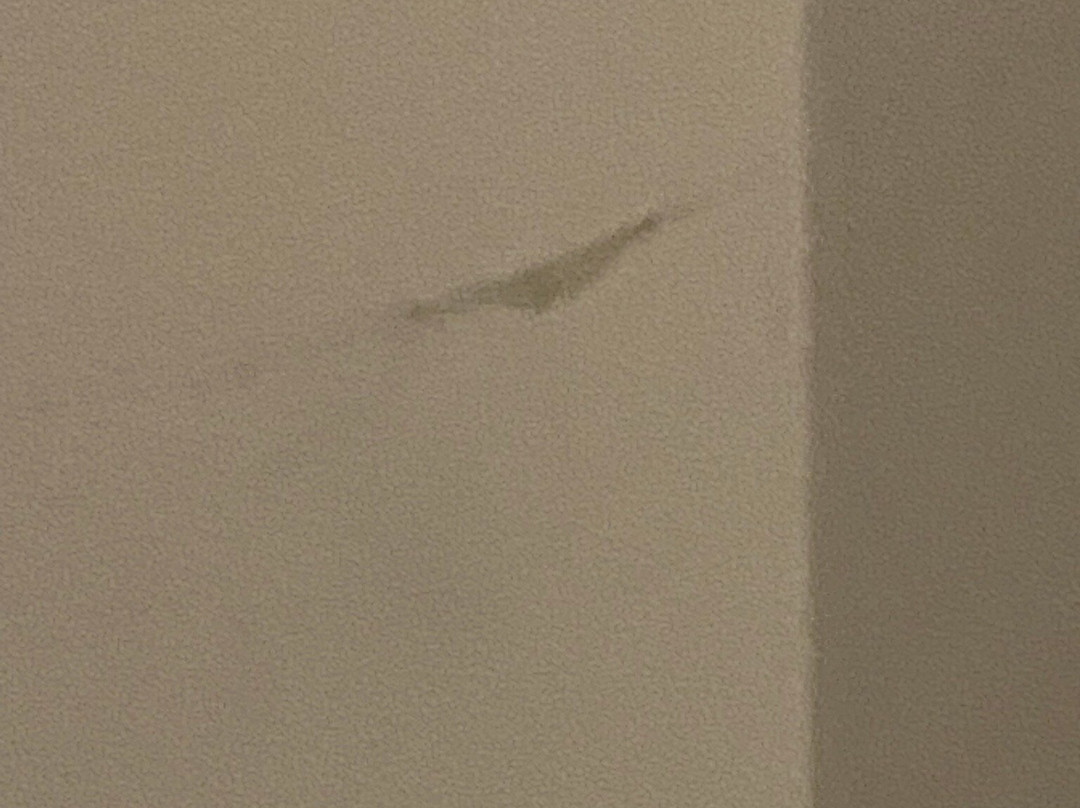 Locanda Ai Dogi主图