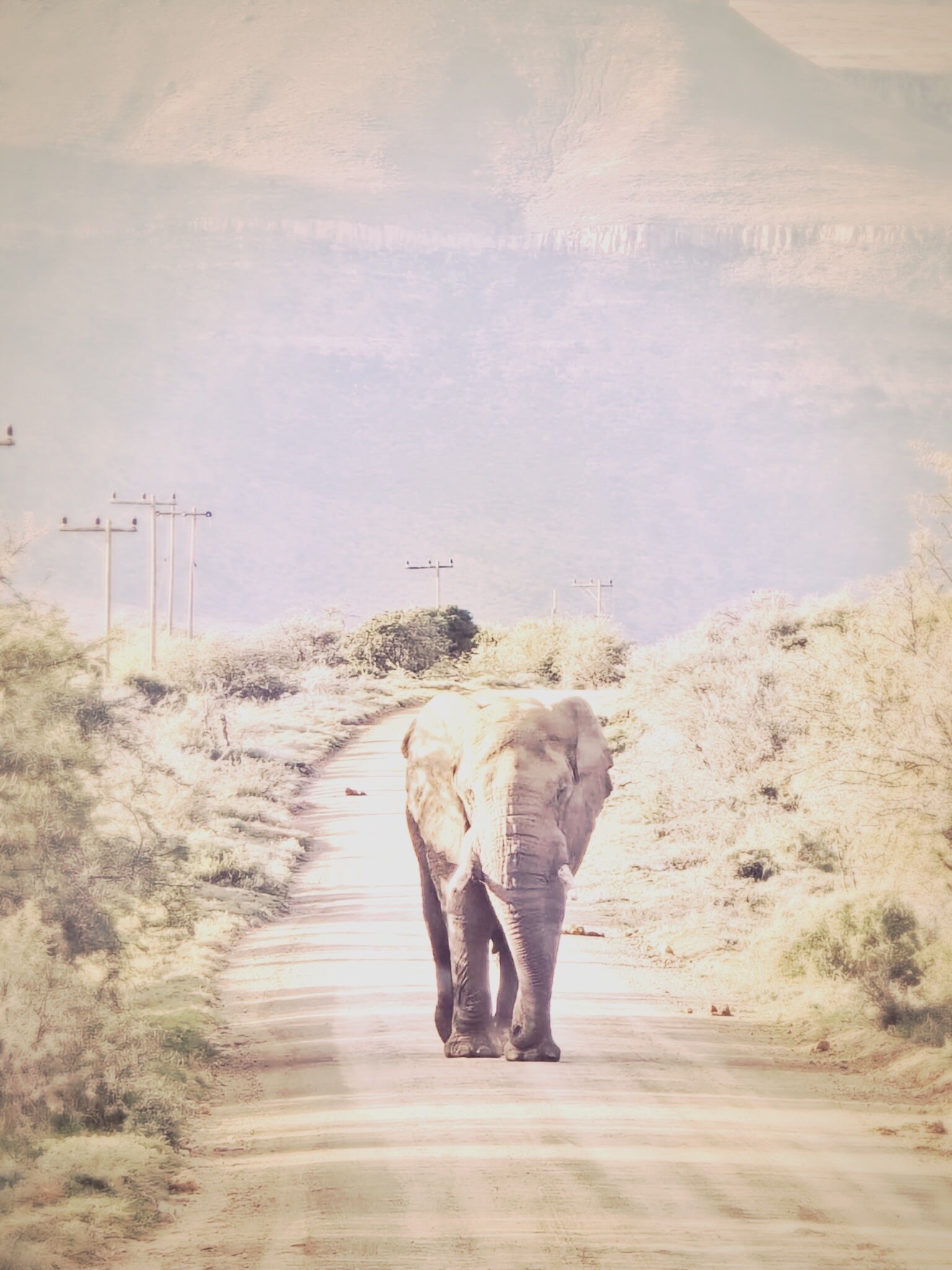 Samara Karoo Reserve-官方