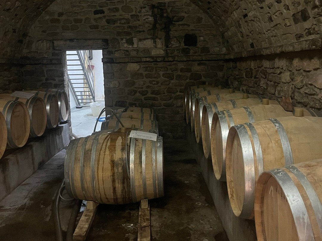 Château Mont-Redon-教皇新堡必去景点