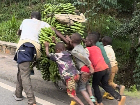 Standard Safaris-坎帕拉必去景点