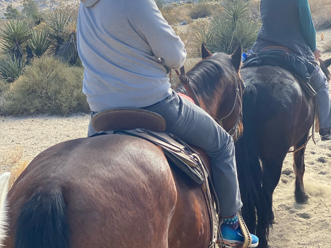 Coyote Ridge Stable-Morongo Valley必去景点