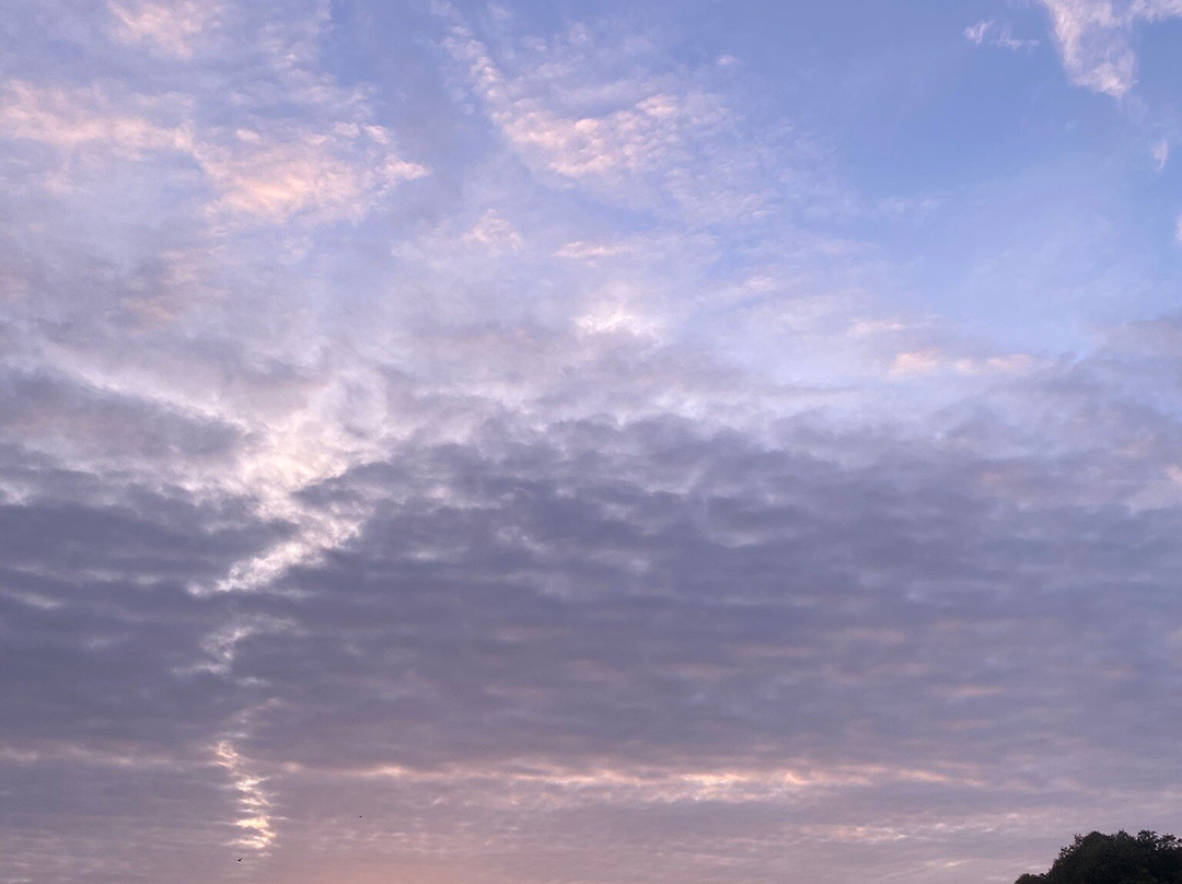 塞夫顿公园-利物浦必去景点