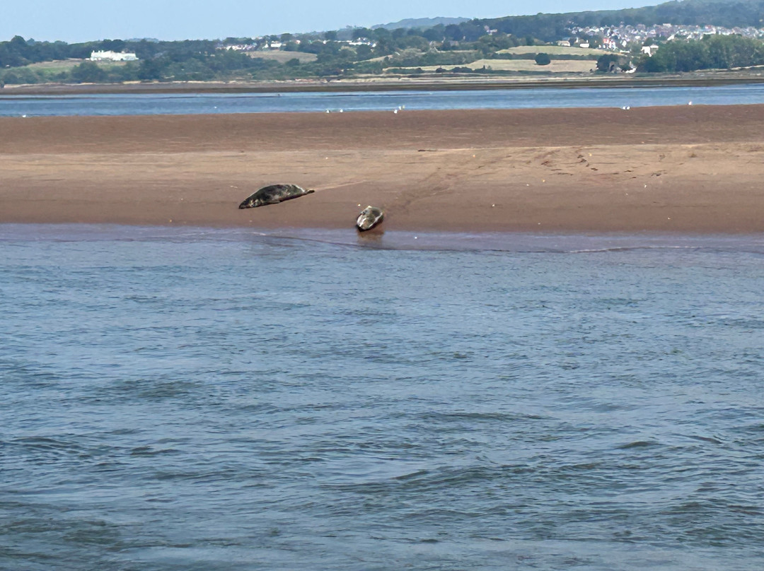 Starcross - Exmouth Ferry-Starcross必去景点