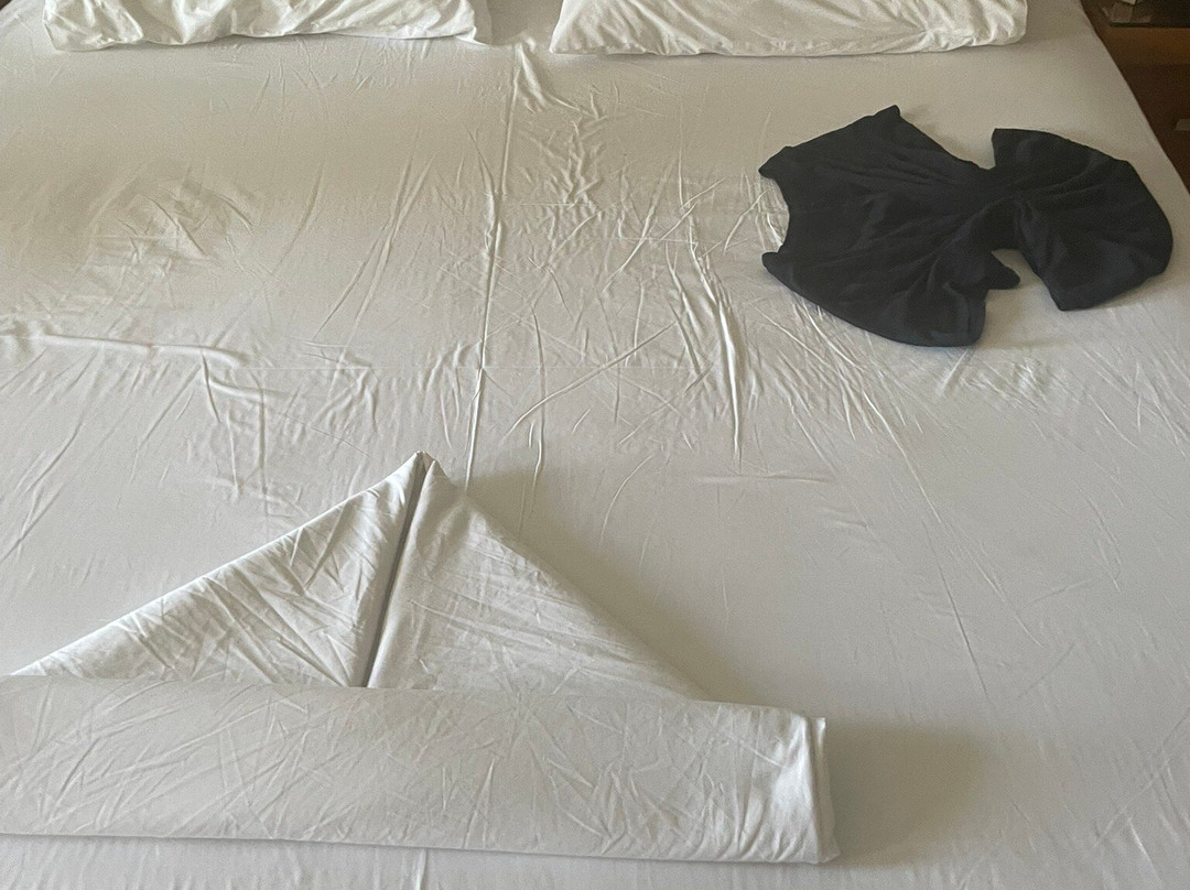 El Greco Boutique Hotel主图