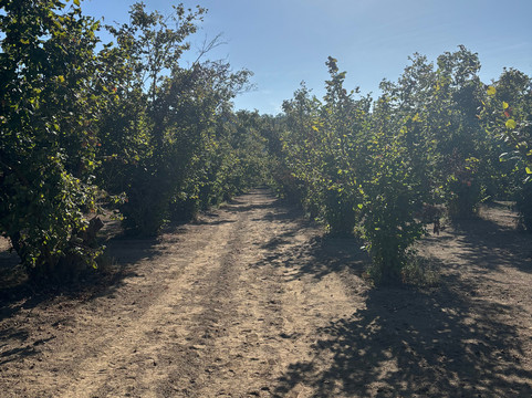 Open Sicily Experiences-陶尔米纳必去景点