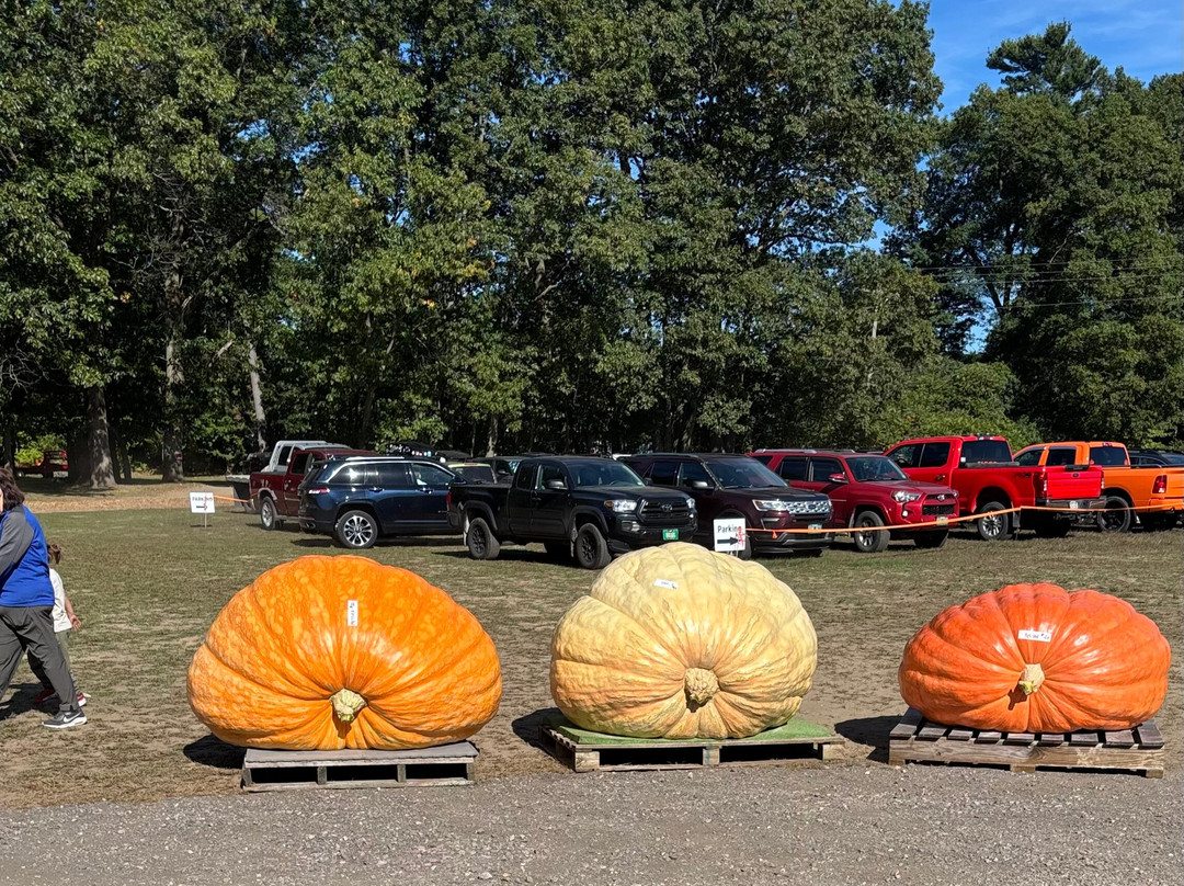 Residence Inn Burlington Colchester主图