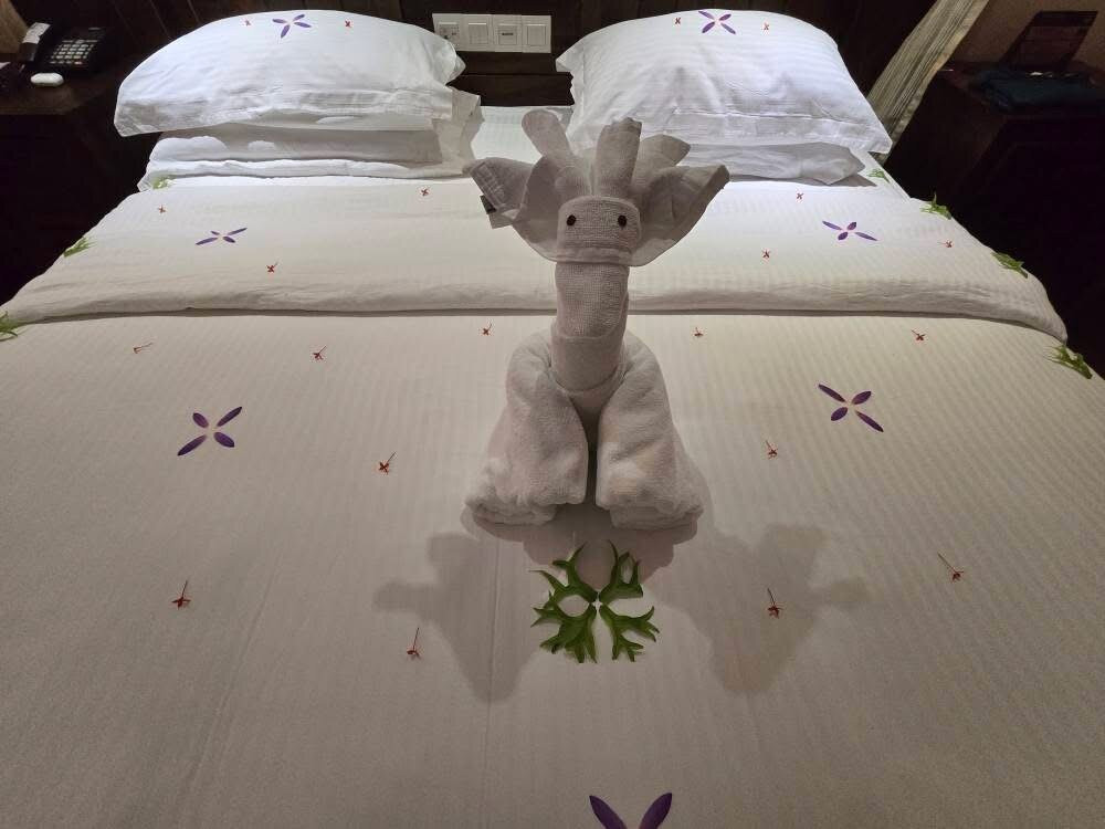 皇家棕榈滩大酒店主图