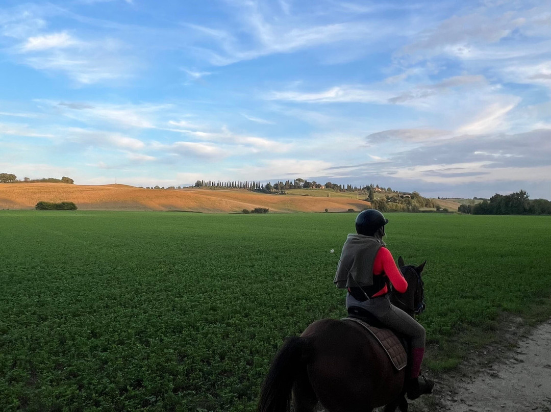 Centro turismo equestre La Chiusafarina-锡耶纳必去景点