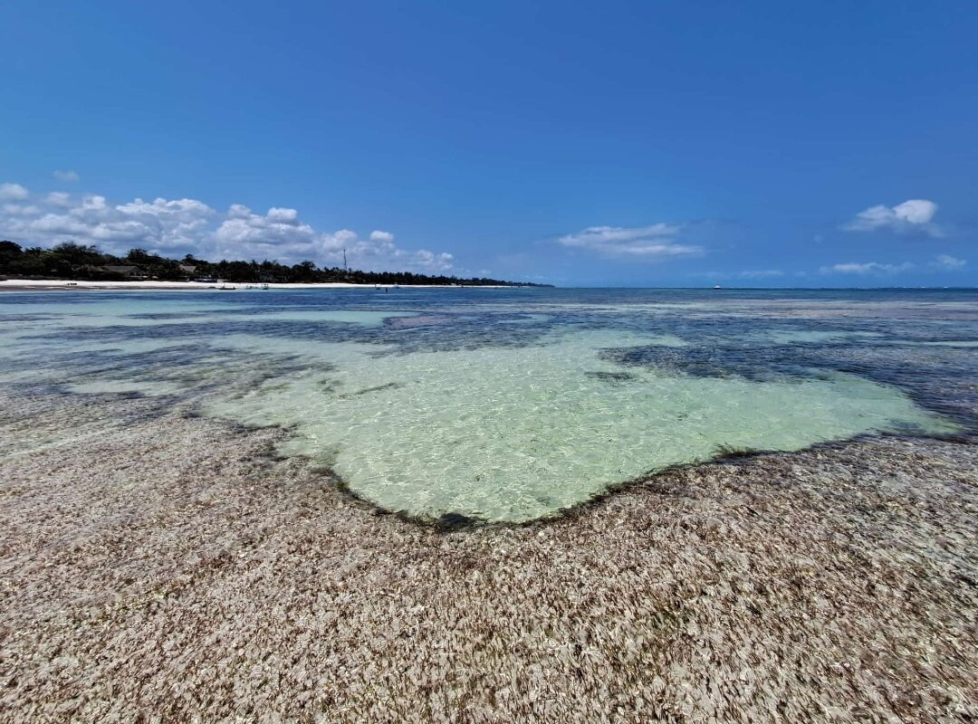 Diani Beach-迪亚尼必去景点