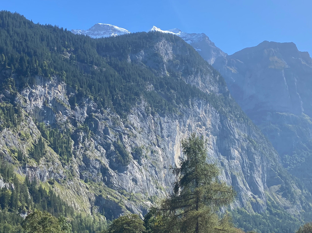 绍巴核酒店主图