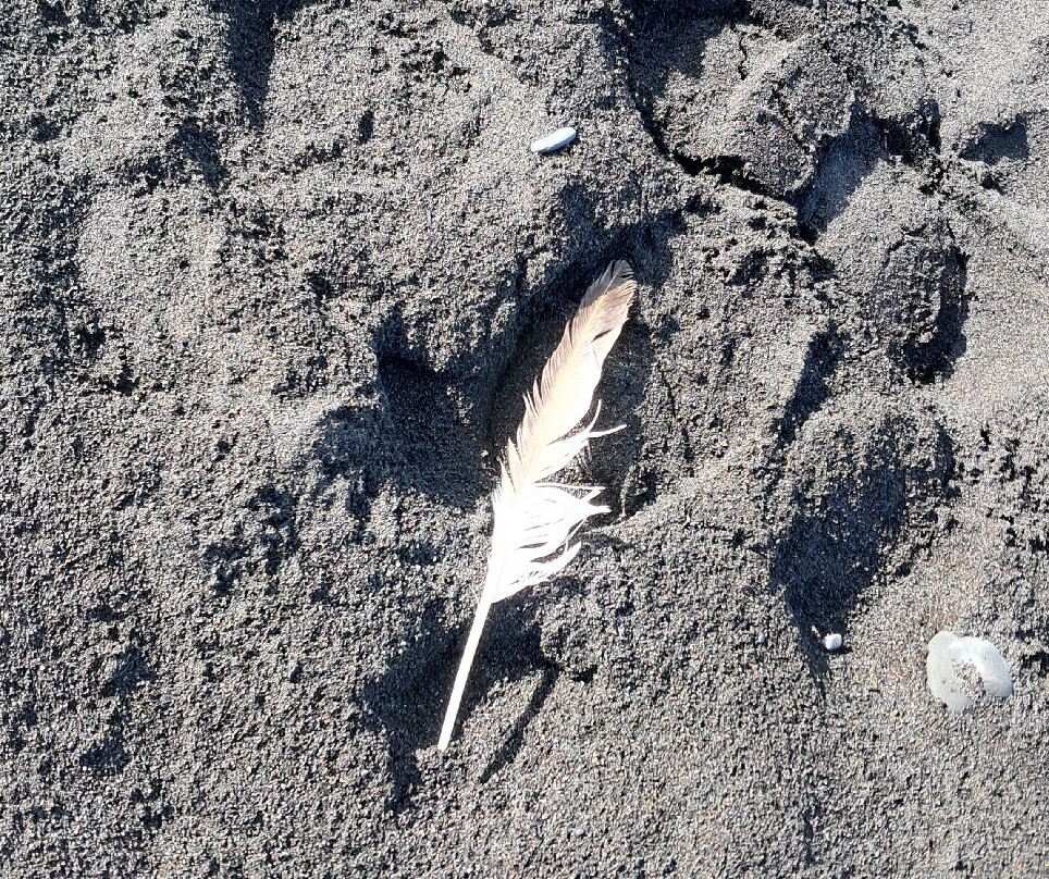 冰岛黑沙滩-维克必去景点