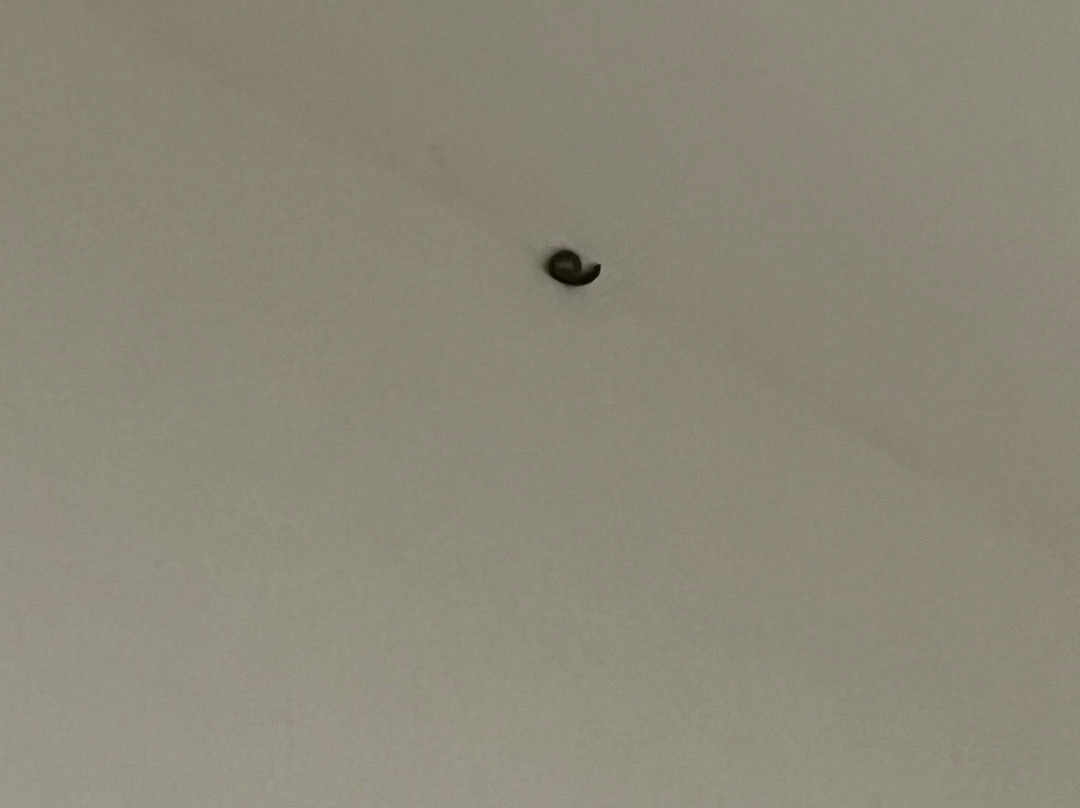 HSM Club Torre Blanca主图