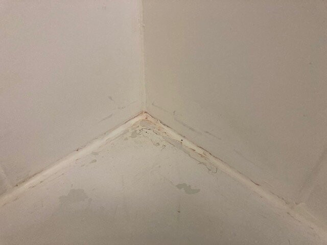 Holiday Inn Express Chicago-downers Grove By IHG主图