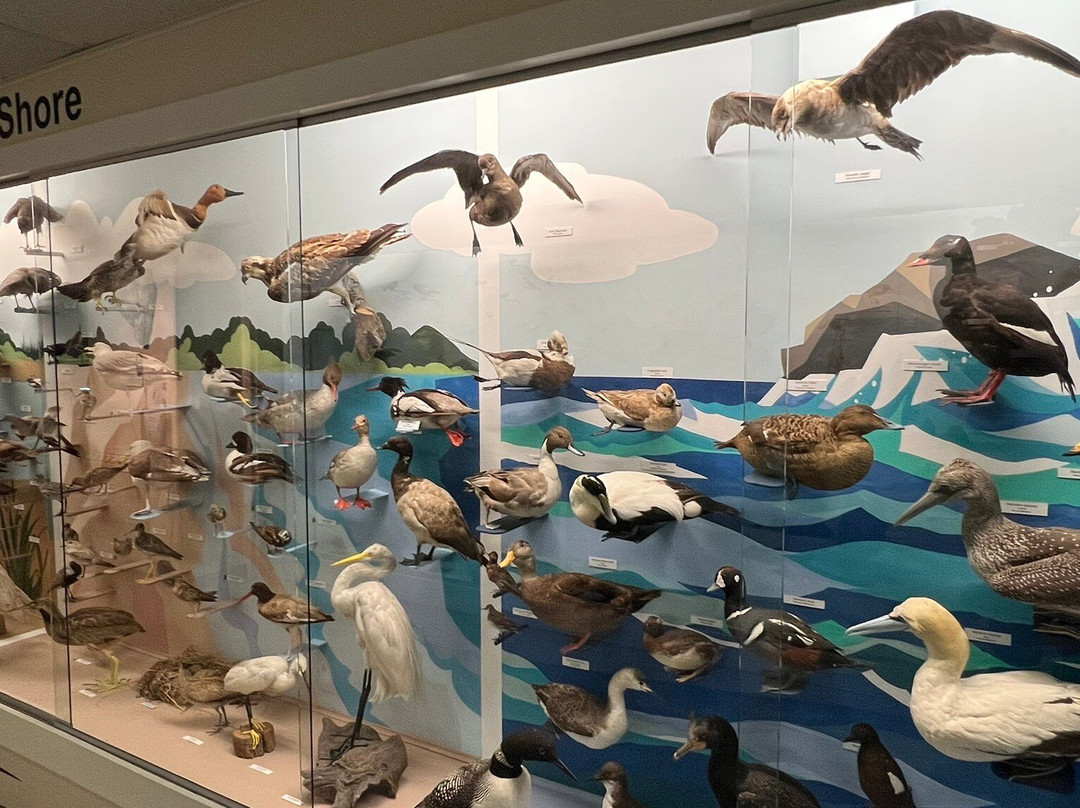 Cape Cod Museum of Natural History-Brewster必去景点