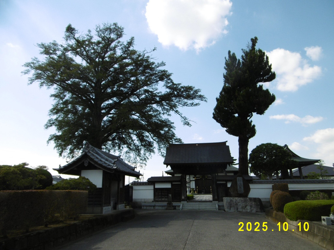 Shenguang Temple-邑乐町必去景点