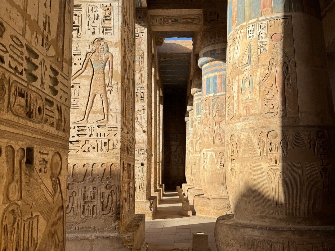 Ahmed Kenawi Licensed Tourist Driver-卢克索必去景点