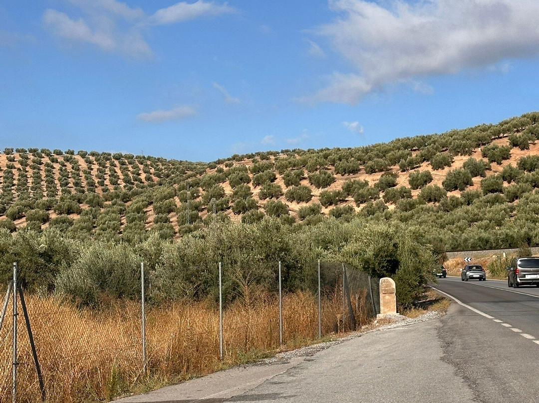 Hostal Rural el Nacimiento主图