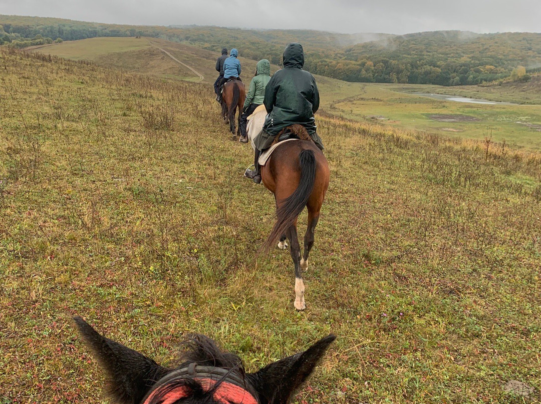 Count Kálnoky's Riding Holidays-Valea Crisului必去景点