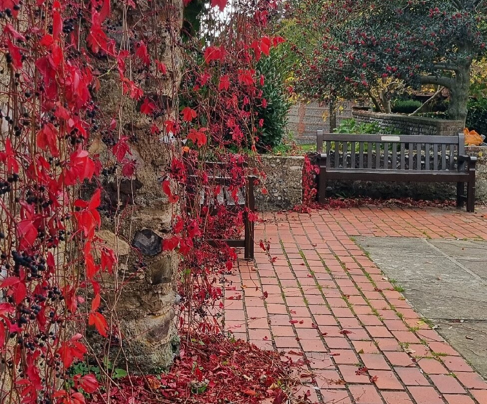 Manor Gardens-Bexhill-on-Sea必去景点