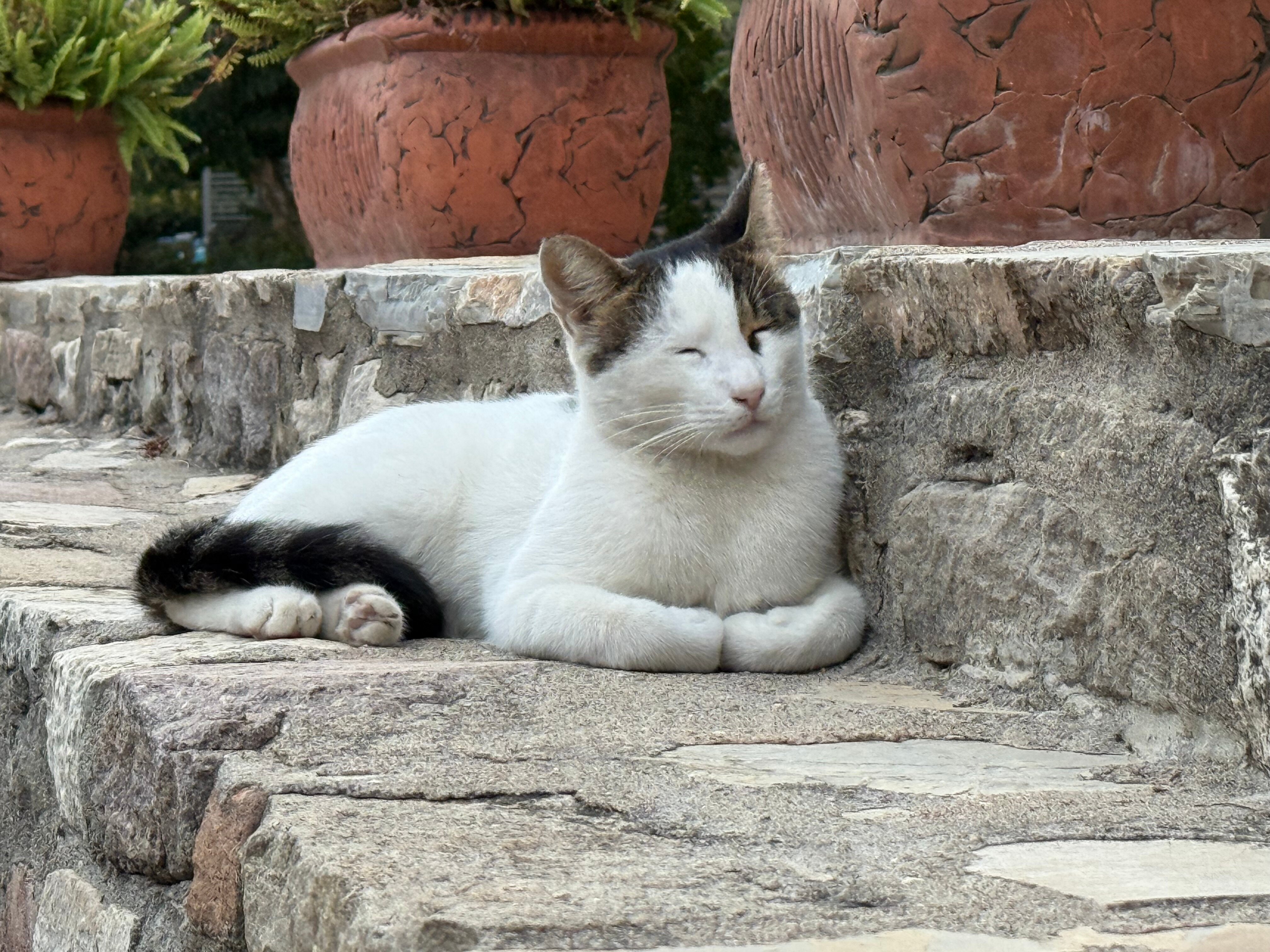 Arum Barut Collection-浴室