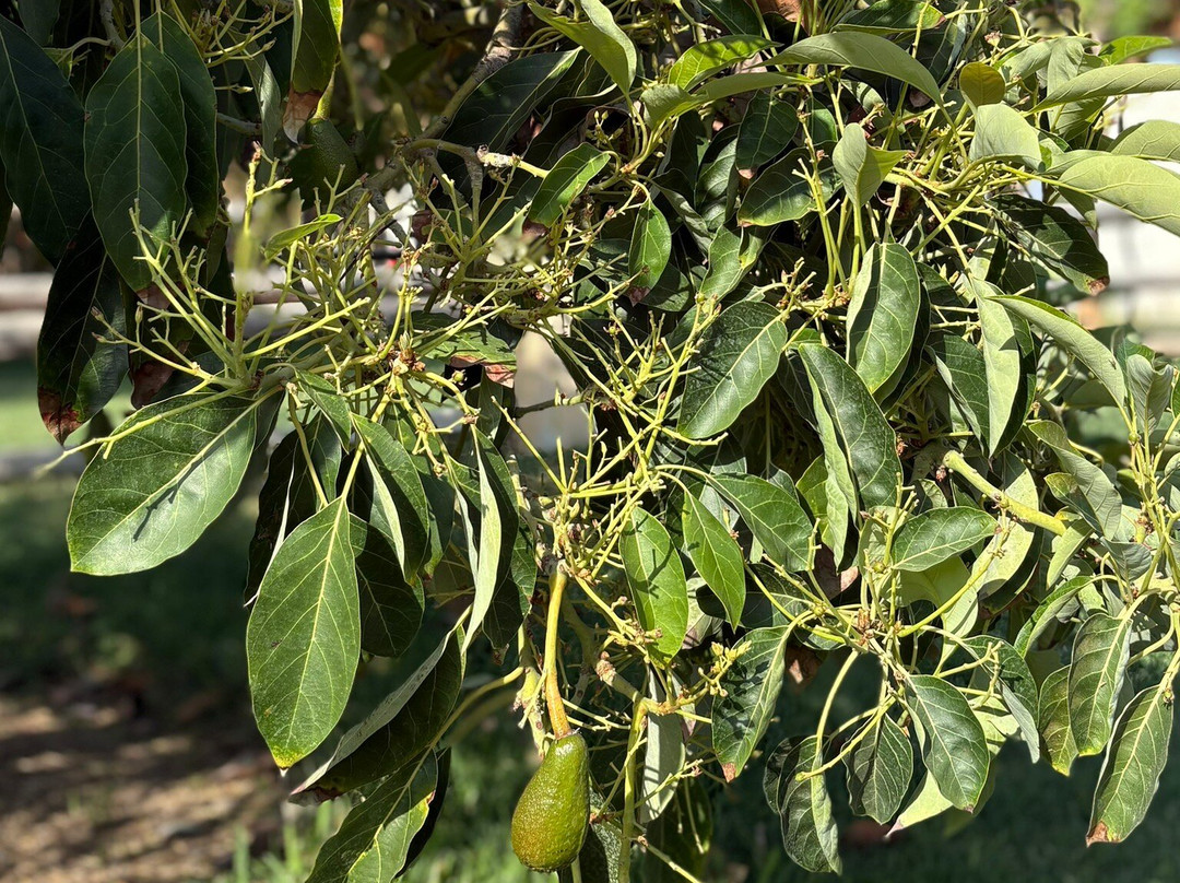 Hotel & Hacienda La Caravedo主图