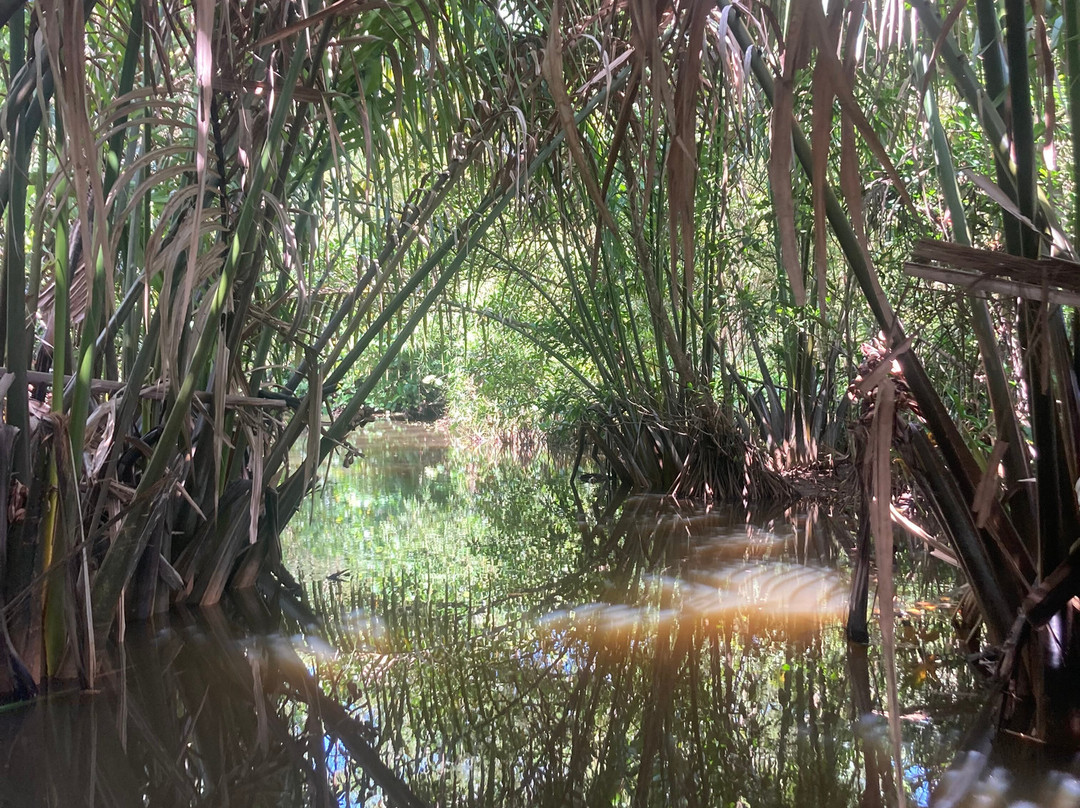 Barberyn Reef Ayurveda Resort主图