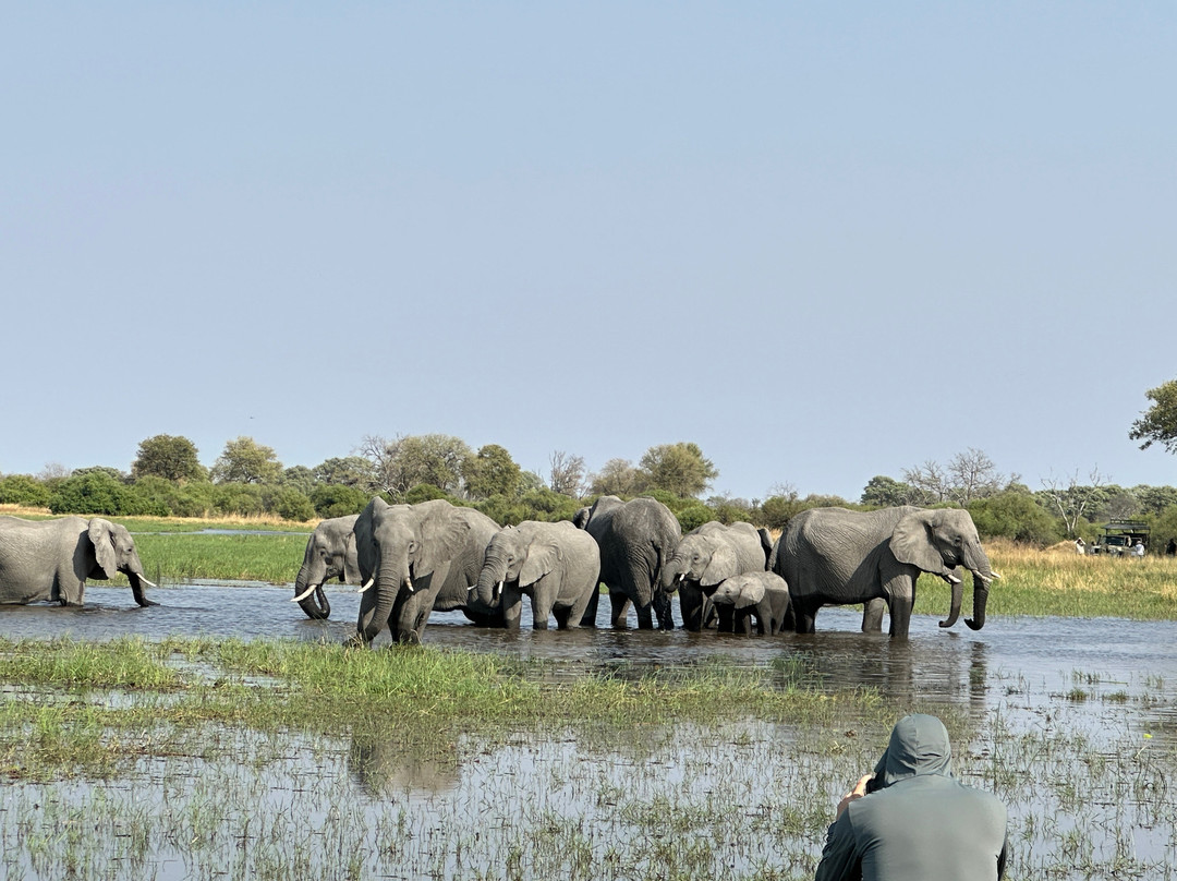 Shipungo Safari & Tours-马翁必去景点