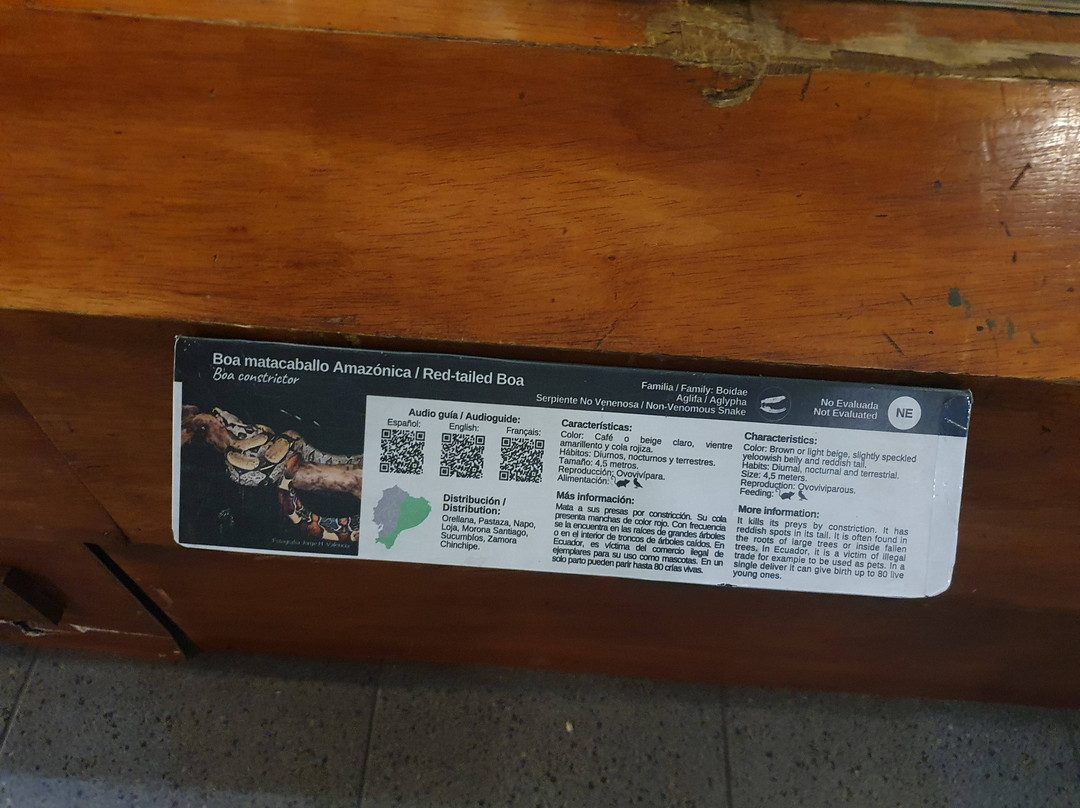 Vivarium de Quito-基多必去景点