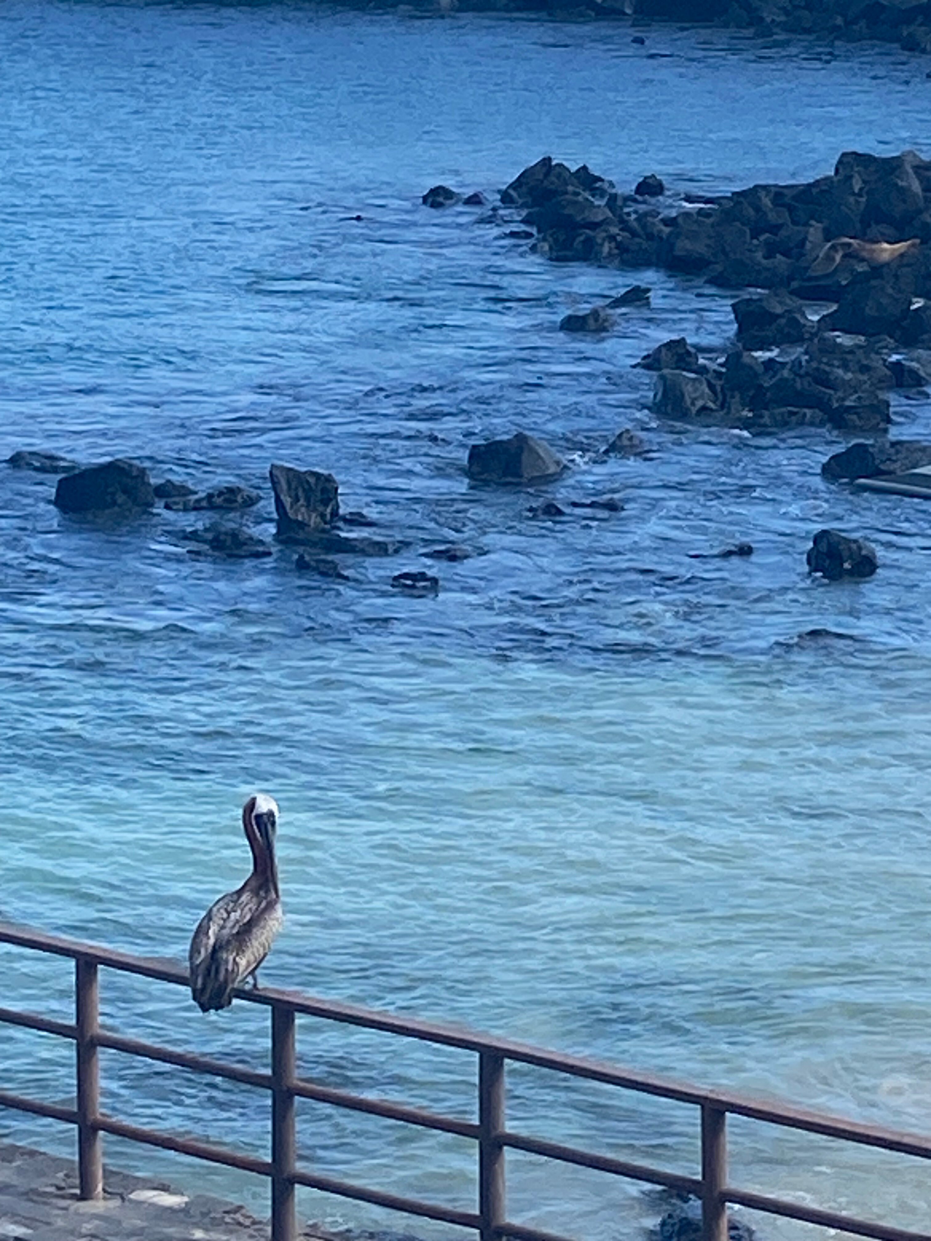 Hotel Indigo Galapagos by IHG-酒店景观