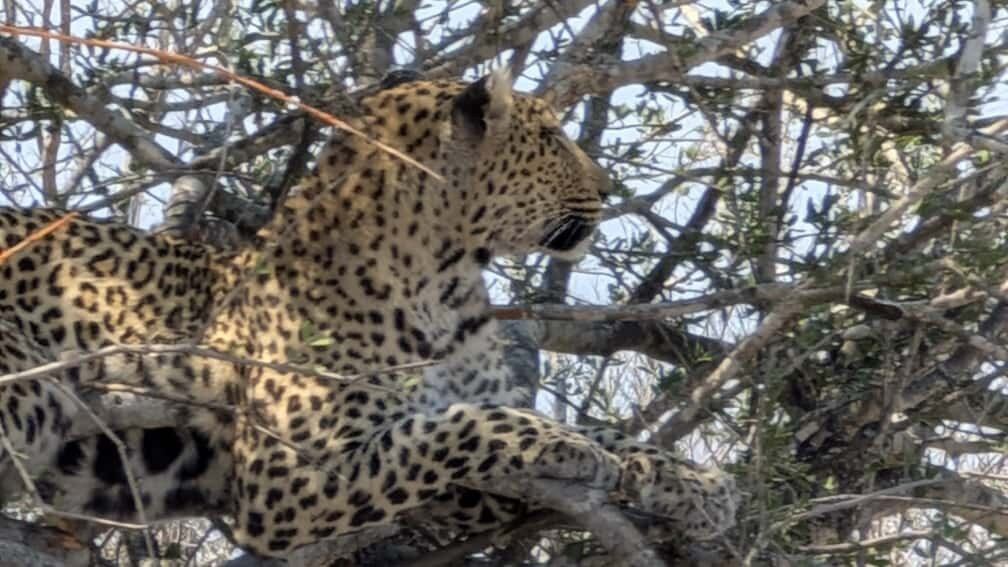 African Safari Group-开普敦必去景点