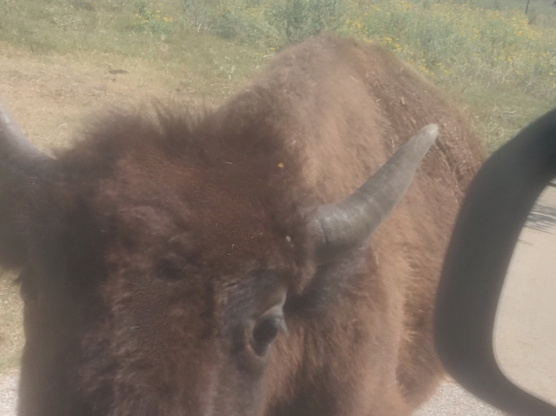 Arbuckle Wilderness-Davis必去景点