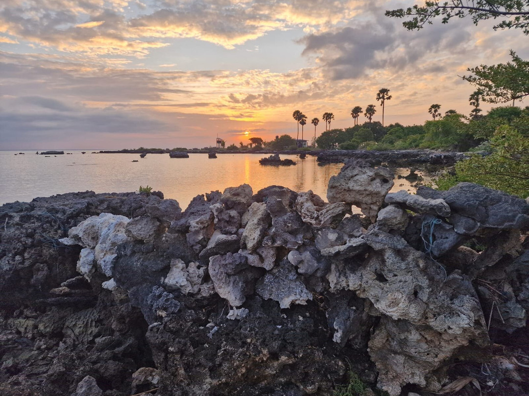 Neduntheevu-贾夫纳必去景点