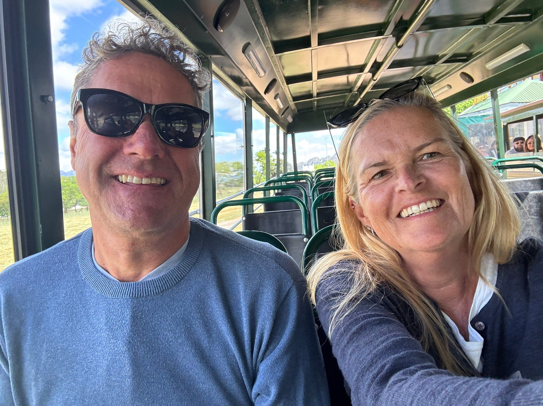 Franschhoek Wine Tram-法兰舒克必去景点